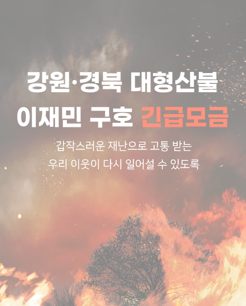 강원.경북 대형산불모금 (종료)