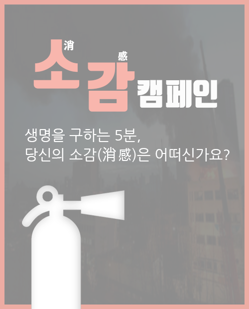소감캠페인 (종료)