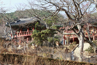 (사)더불어함께새희망과 함께하는 미혼모자여행!