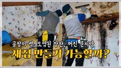 곰팡이집과 작별시켜주는 방법 더함께새희망 두꺼비캠페인