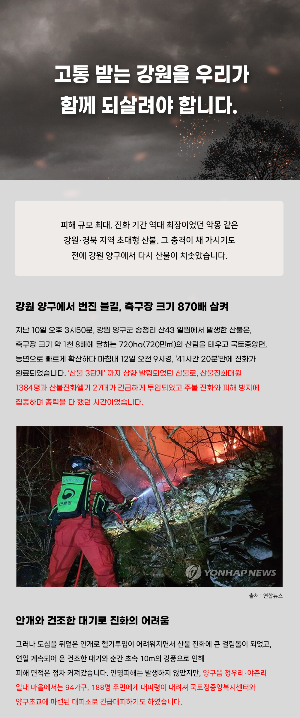 이미지명