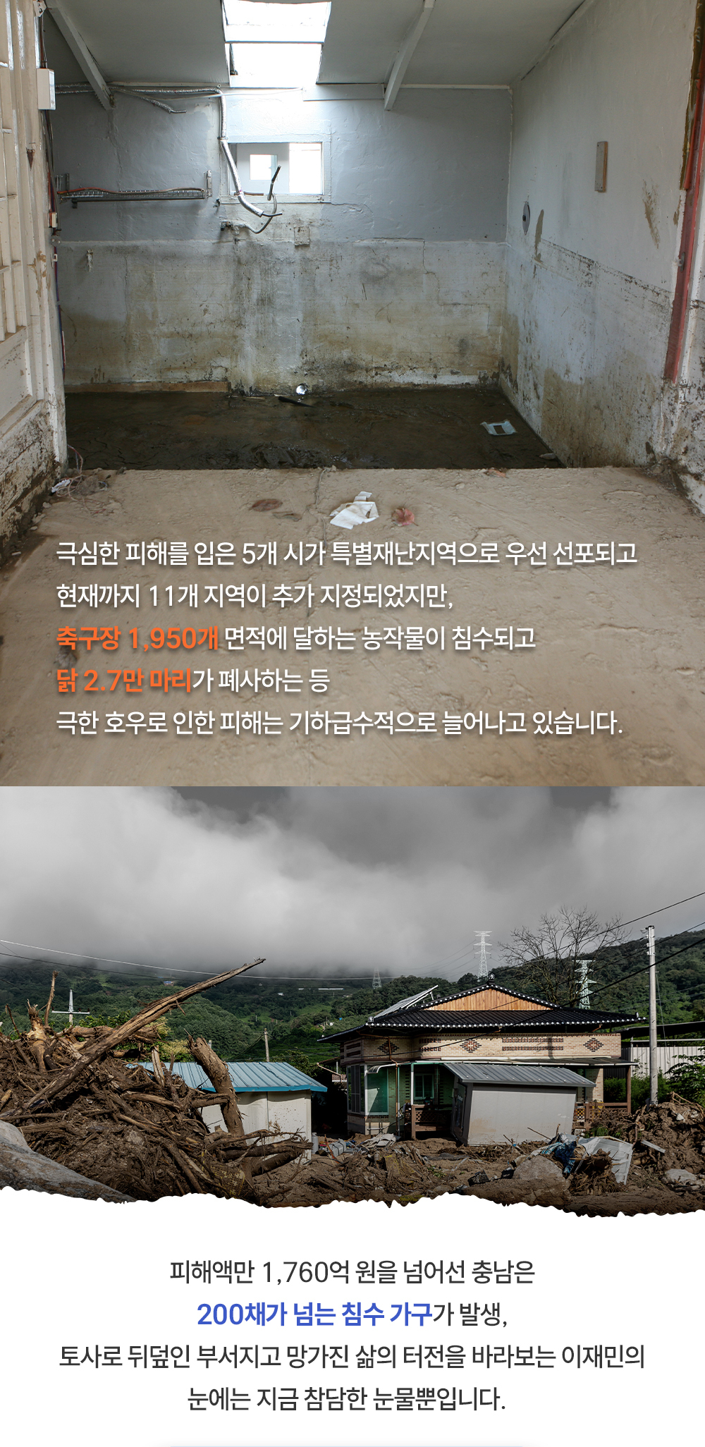 이미지명