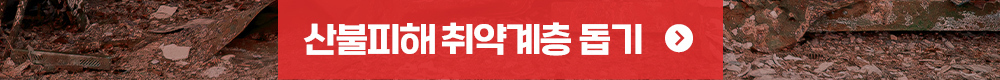 이미지명