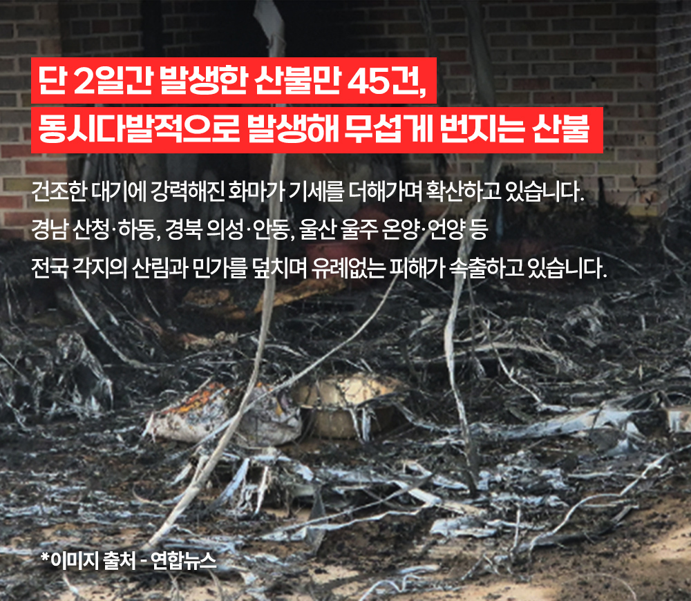 이미지명