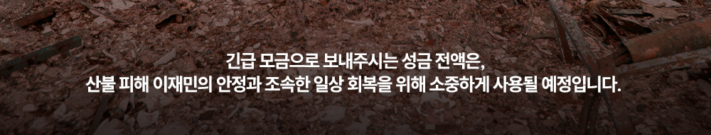 이미지명