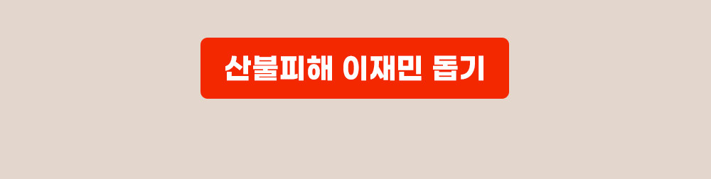 이미지명
