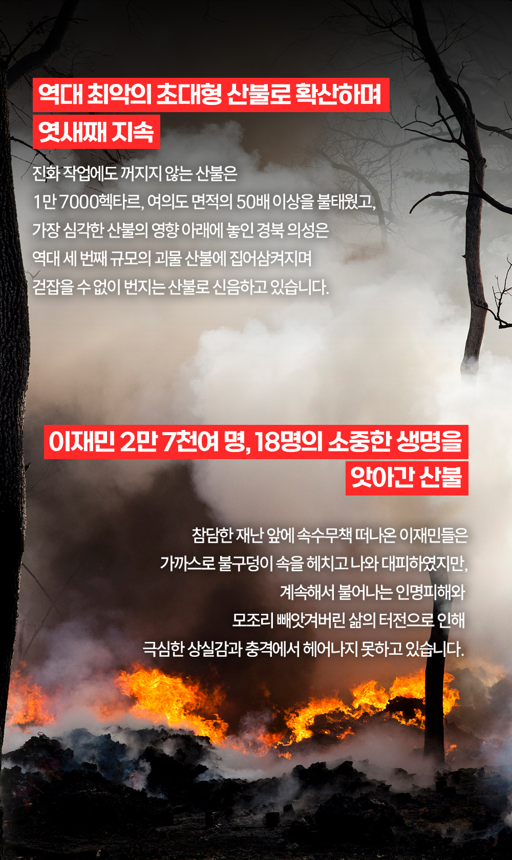 이미지명